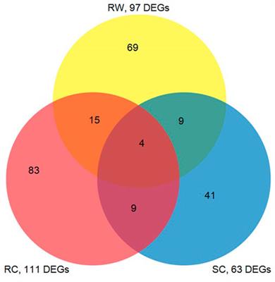 Analysis of plant expression profiles revealed that aphid attack triggered dynamic defense responses in sorghum plant